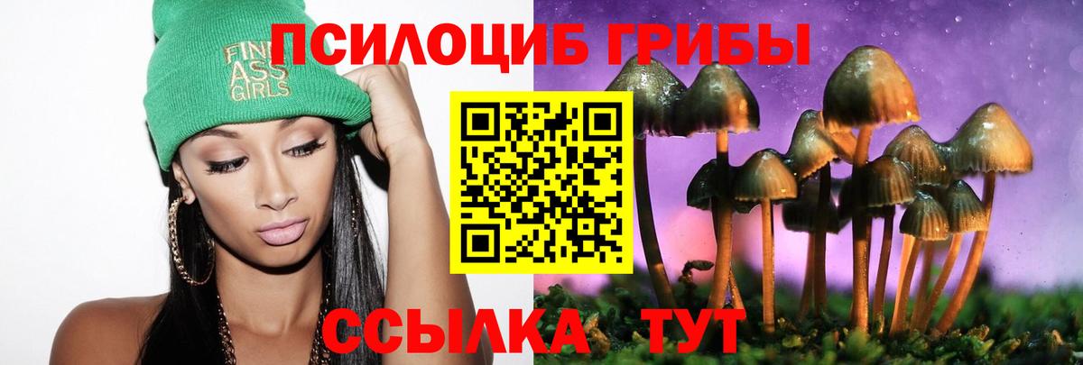 Псилоцибиновые грибы Cubensis  Галлюциногенные грибы мухоморы  Вход с VPN  Грозный 